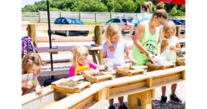 Gem Mining at Fox's High Rock Farm